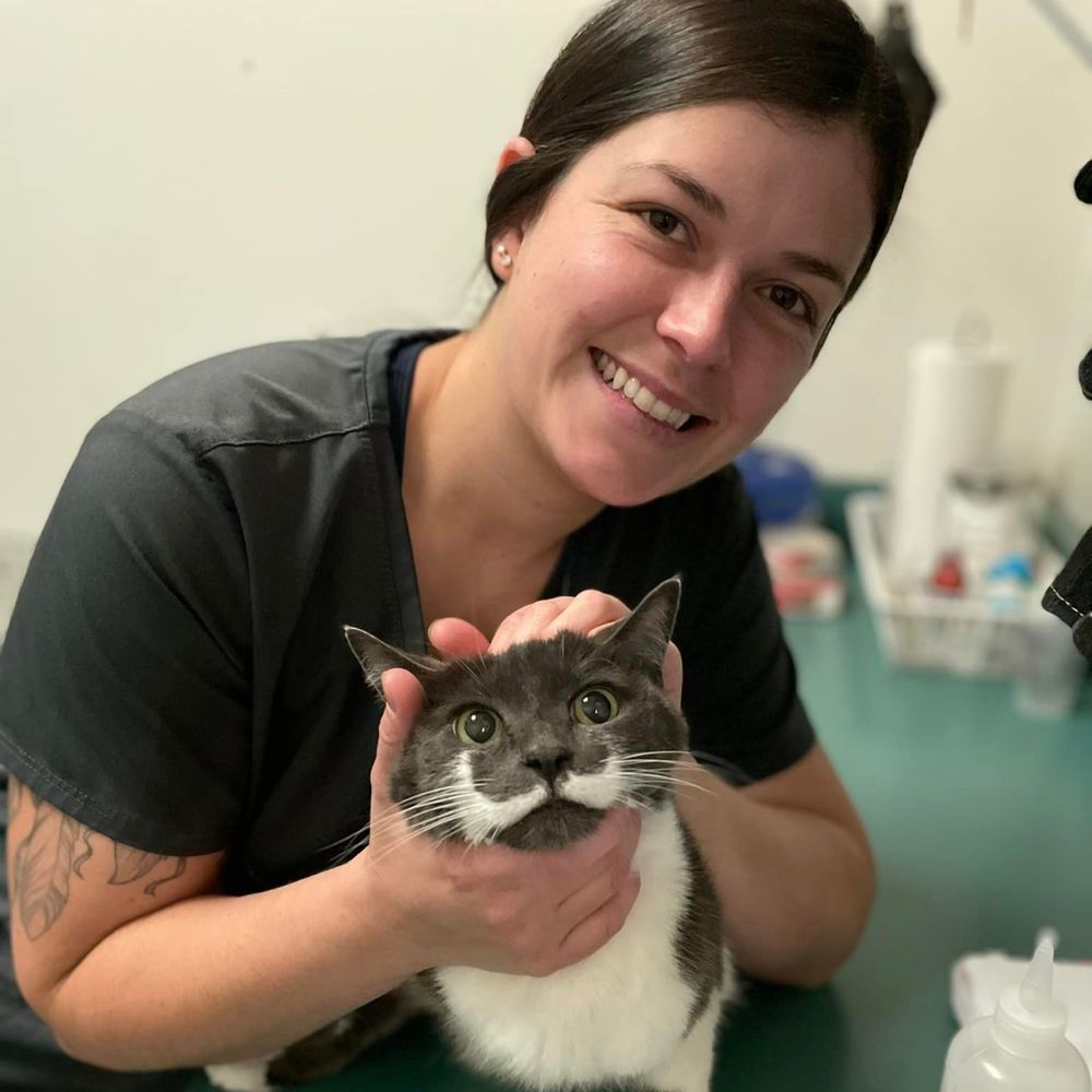 <h2>Trusted By Vets Nationwide</h2>