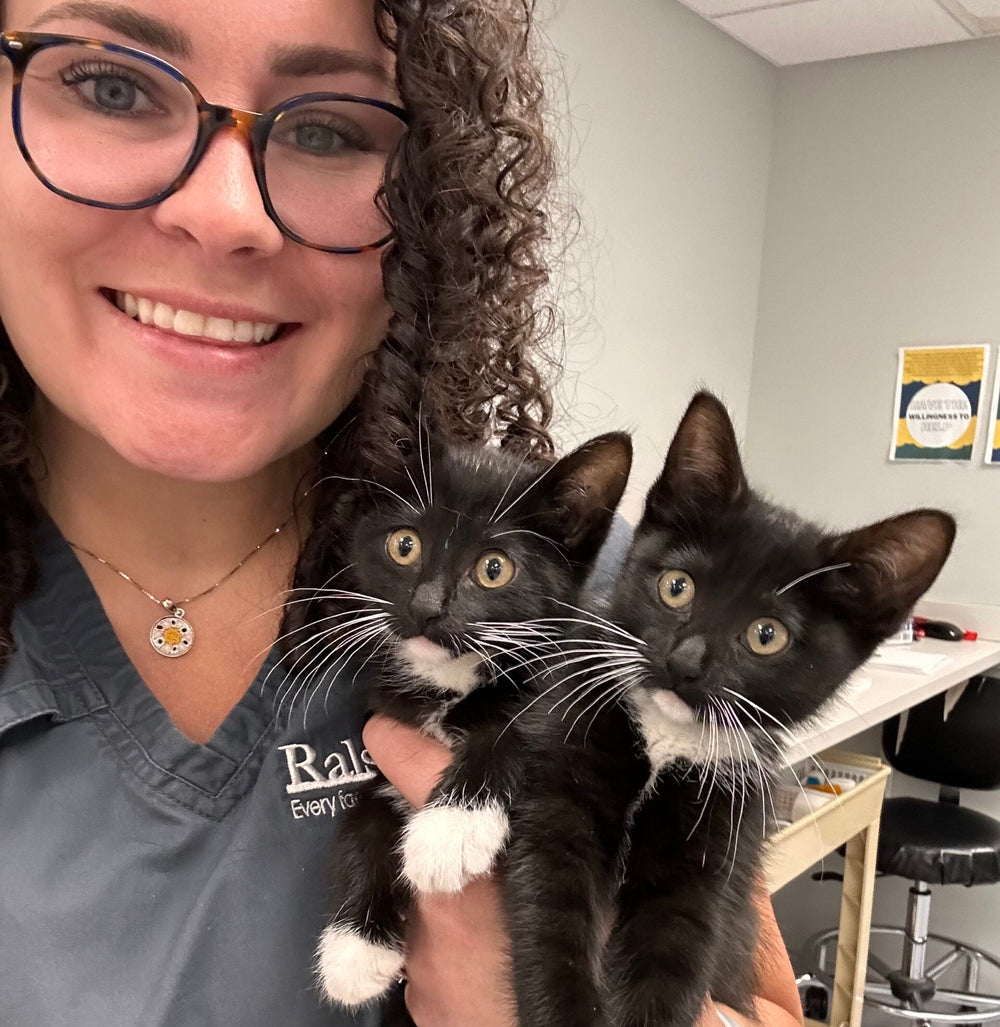 <h2>Trusted By Vets Nationwide</h2>