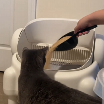 <h1>See Why Cat Owners <strong>Love It</strong></h1>